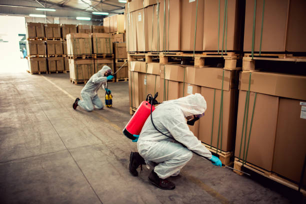 Best Affordable Pest Control Services  in Lake Bluff, IL