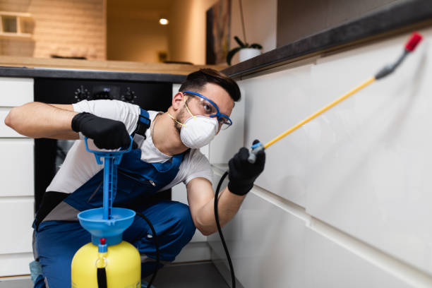 Best Pest Prevention Services  in Lake Bluff, IL