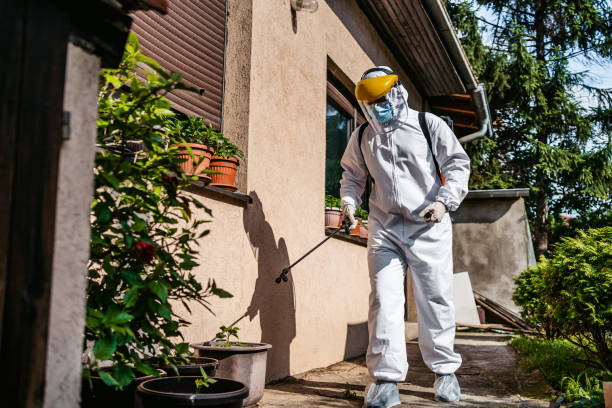 Best Ant Control Services  in Lake Bluff, IL