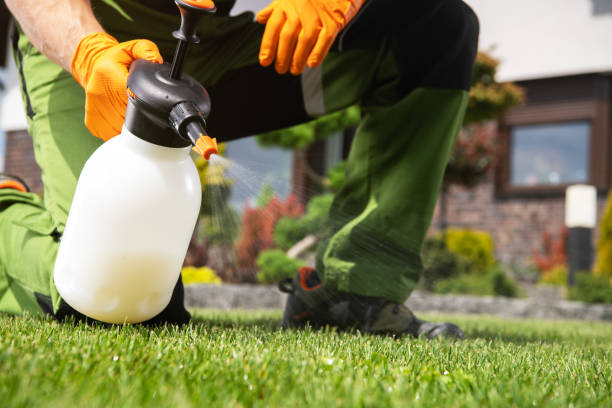 Best Cockroach Control Services  in Lake Bluff, IL