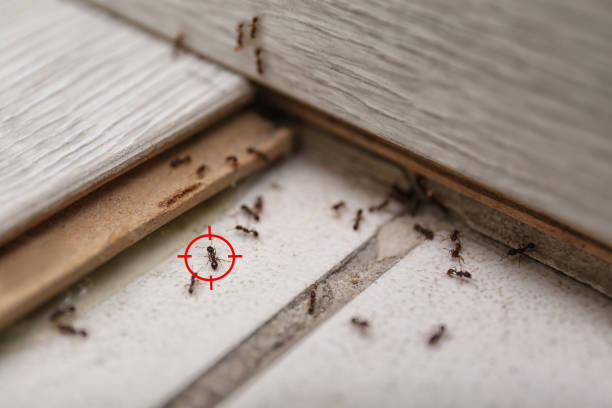 Best Exterminator Services  in Lake Bluff, IL