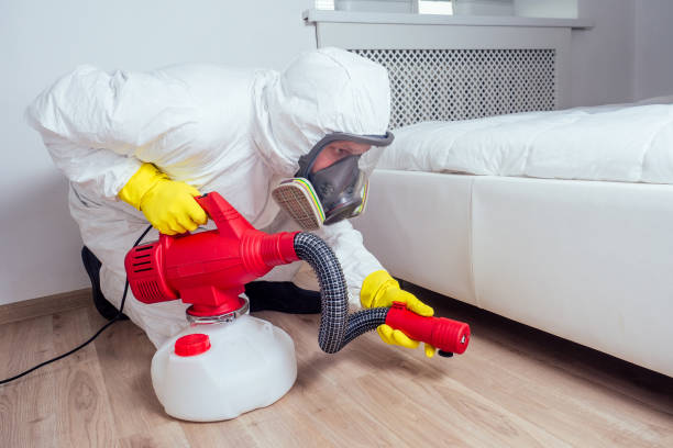 Best Flea Control Services  in Lake Bluff, IL