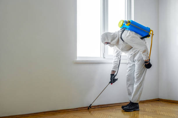 Best Pest Control Near Me  in Lake Bluff, IL