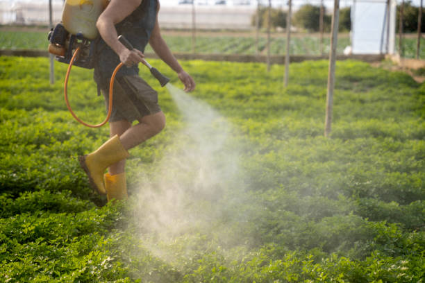Best Local Pest Control Services  in Lake Bluff, IL