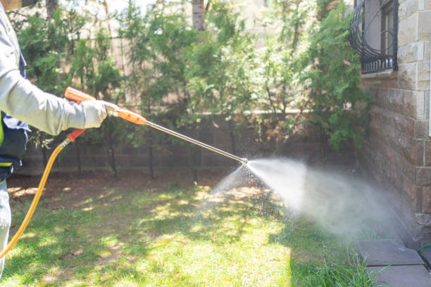 Best Mosquito Control Services  in Lake Bluff, IL