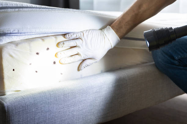 Best Cockroach Control Services  in Lake Bluff, IL