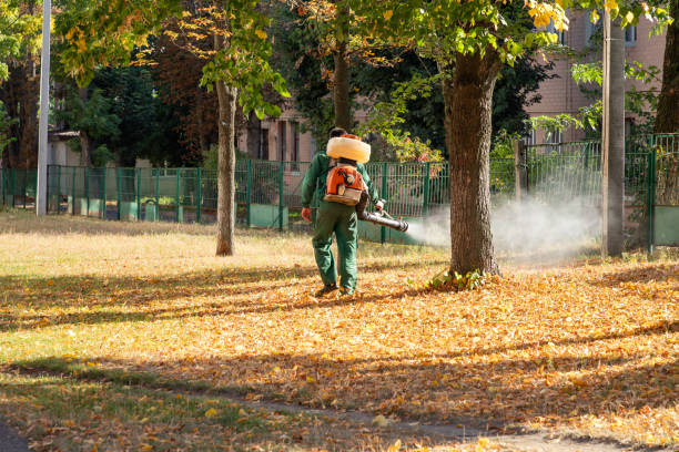 Best Residential Pest Control  in Lake Bluff, IL