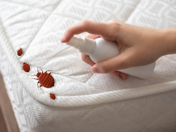 Best Pest Control Near Me  in Lake Bluff, IL